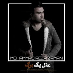 دانلود آهنگ محمد رضا زمانی مثل یه برگ با کیفیت 320